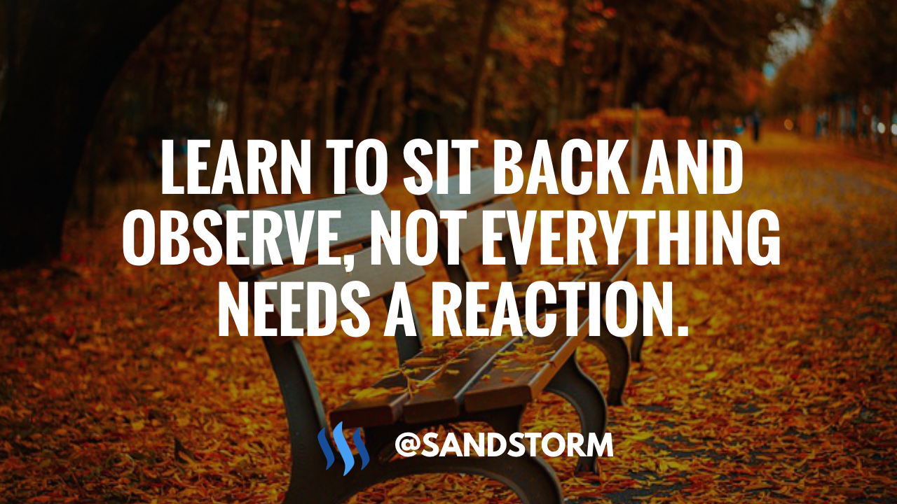 Read more about the article learn to sit back and observe. not everything need – tymoff