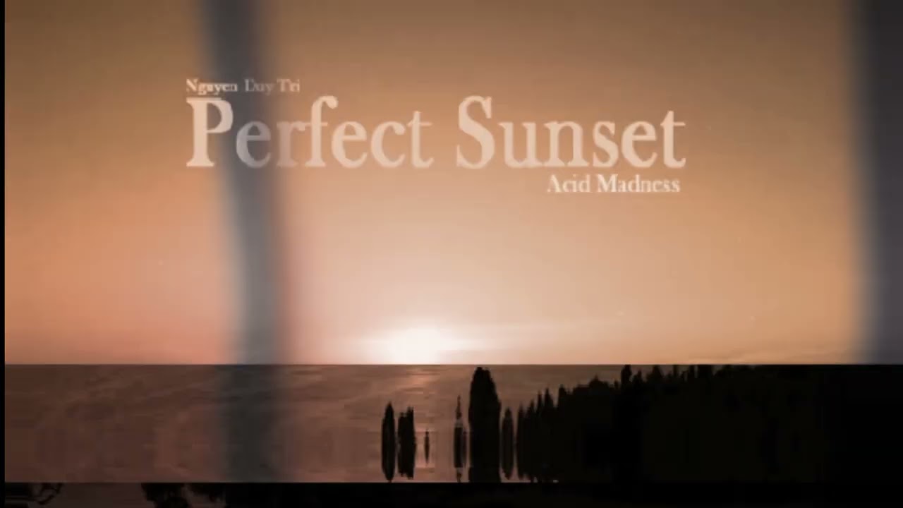 Read more about the article perfect sunset nguyen duy tri • acid madness • 2024